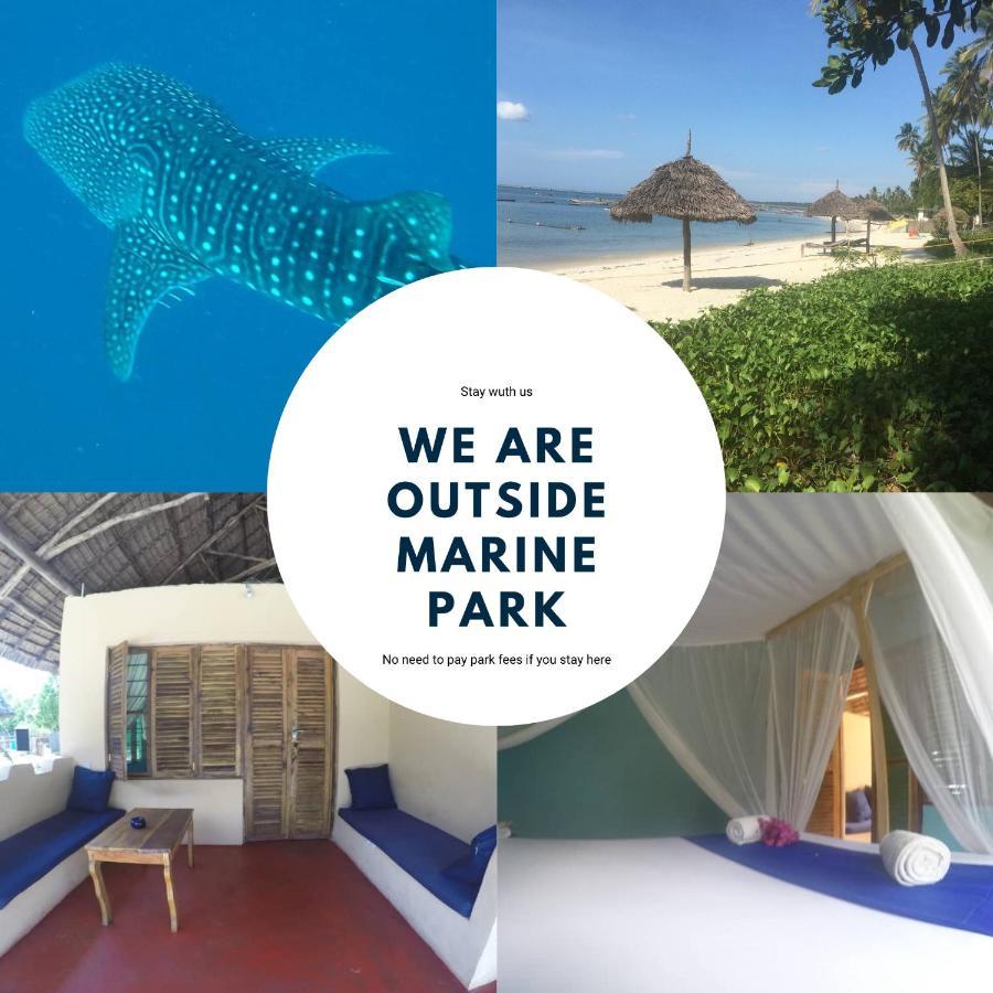 Afro Whale Shark Safari Kilindoni Exterior photo
