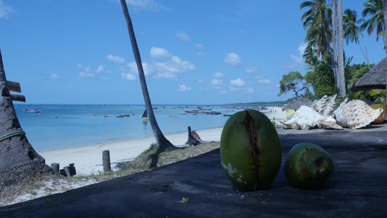 Afro Whale Shark Safari Kilindoni Exterior photo
