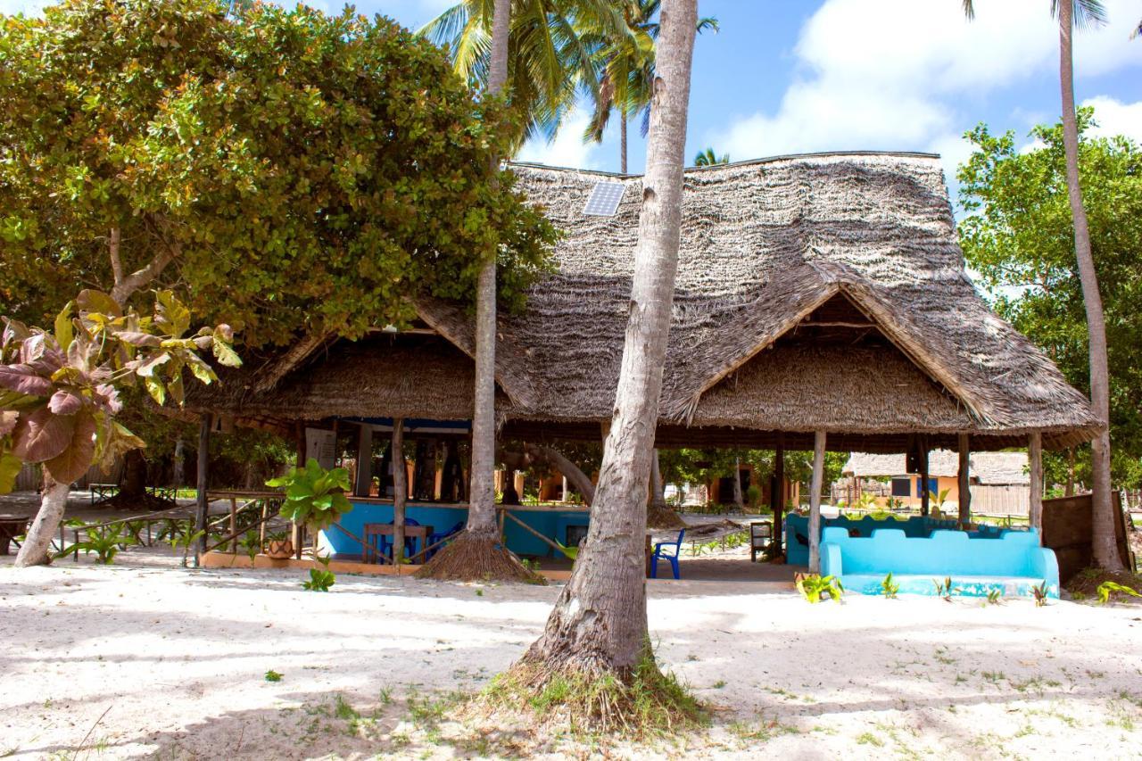 Afro Whale Shark Safari Kilindoni Exterior photo